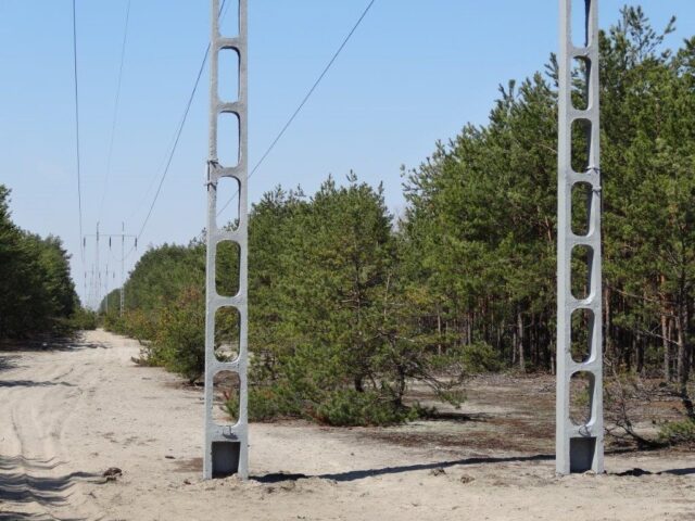 Przykład gruntów leśnych