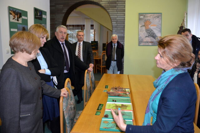 W Izbie Edukacji Leśnej