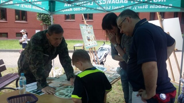 Stoisko edukacyjne Nadleśnictwa Chojnów