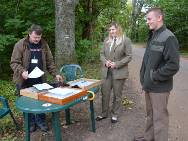 Konkurencja I – OWADY