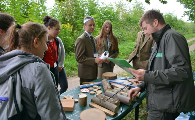 Konkurencja III – DREWNO