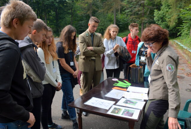 Stanowisko X – ŻUBR