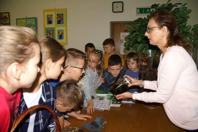 „Grzyby naziemne i podziemne"