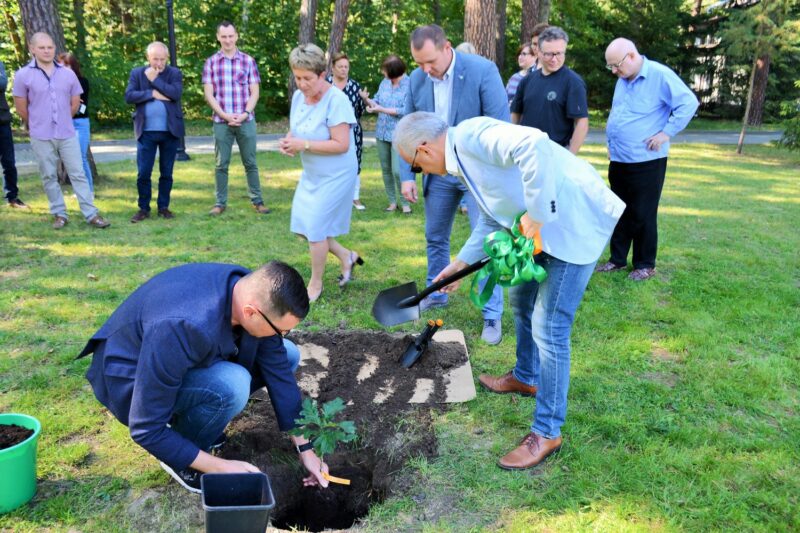 Prof. dr hab. Jacek Hilszczański i dr inż. Tomasz Jabłoński w trakcie sadzenia drzewka