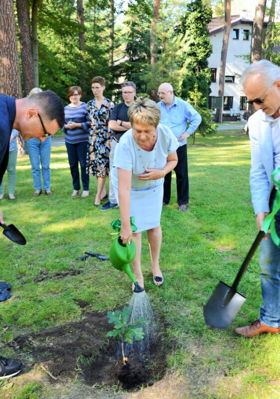Drzewko podlewa dr hab. Iwona Skrzecz