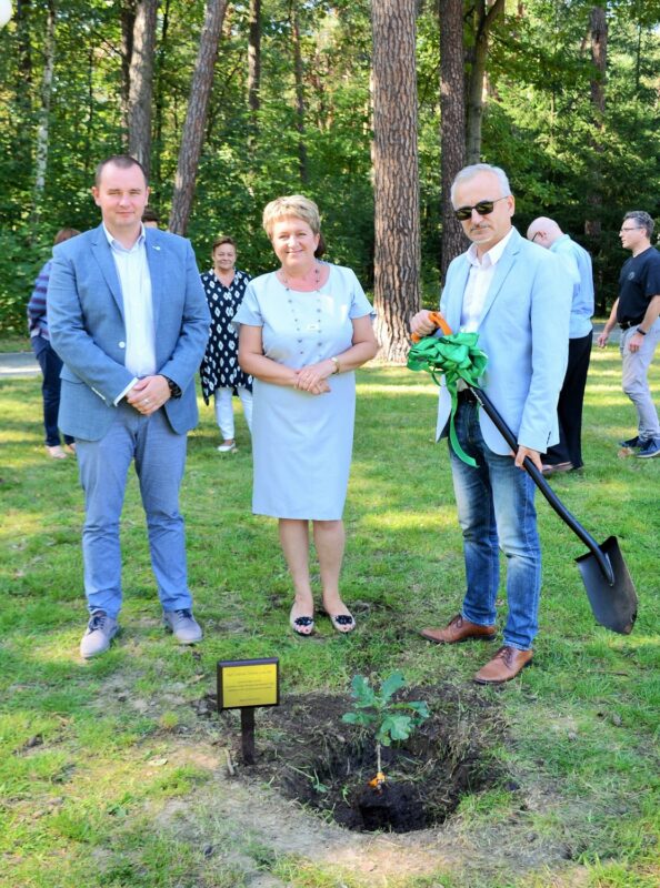 Dzieło sadzenia jubileuszowego dębu zakończone