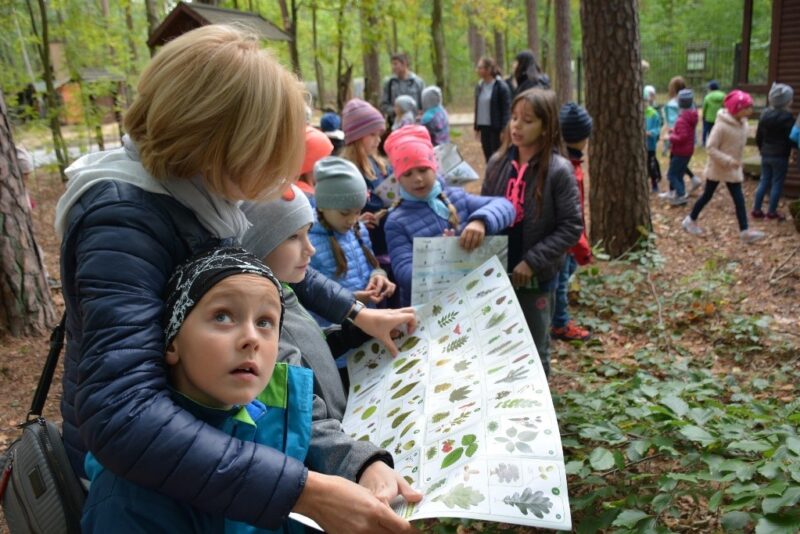 „Wędrówka po piętrach lasu" (mgr inż. Artur Sawicki)