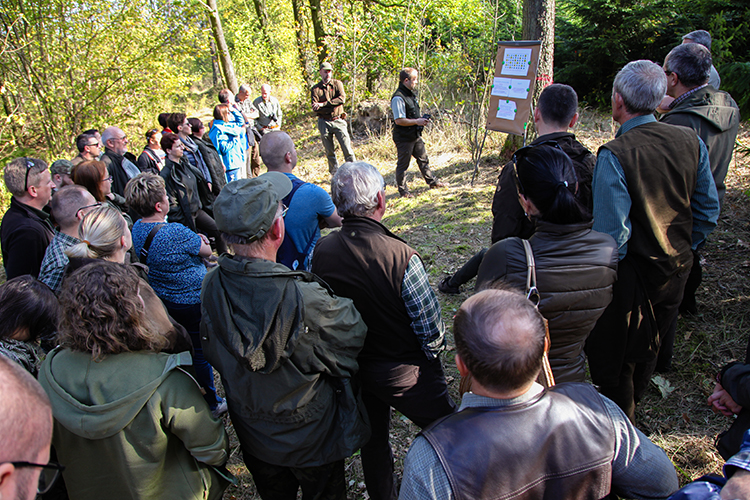 Prezentacja eksperymentu