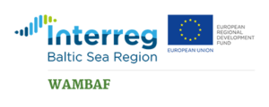 interreg BSR