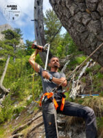 WhatsApp Image 2025-11-11_logo