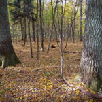 267i_20211007_111355 (1)