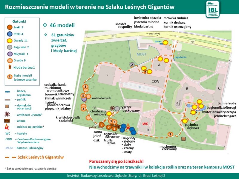 12 zielona AW mapa 2 slajdy szlak wersja pol i angi